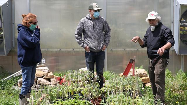 Rick Mareske在开放花瓣农场给植物浇水